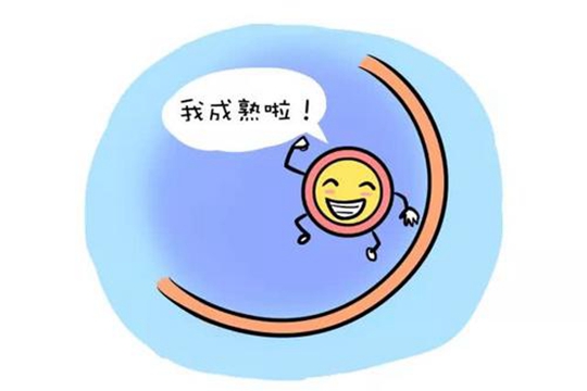 泰国试管夜针必须36小时取卵吗？