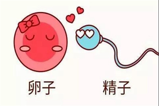 做试管婴儿取精须知哪些事项？