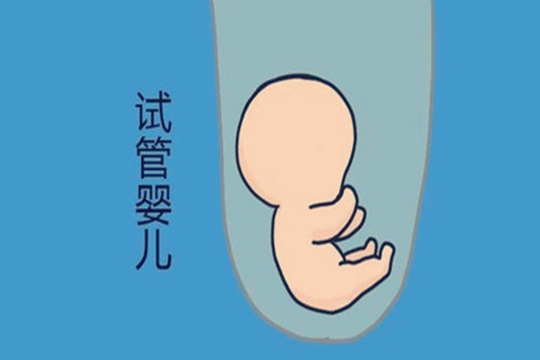 试管婴儿取卵多久移植