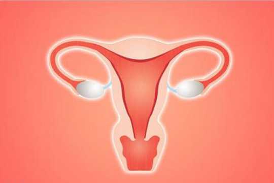 子宫腺瘤影响试管婴儿着床吗？