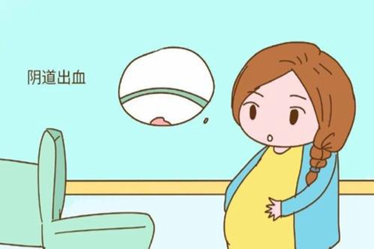 试管婴儿着床成功后出血正常吗？