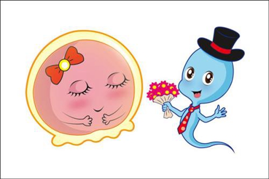 试管婴儿着床后出血正常吗？