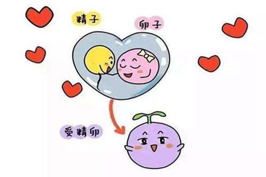 为什么试管婴儿不着床