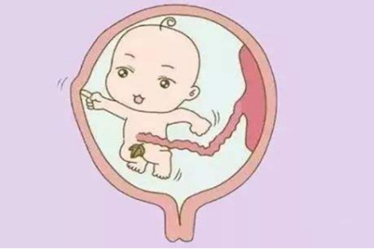 管婴儿怀孕八周注意事项有哪些？